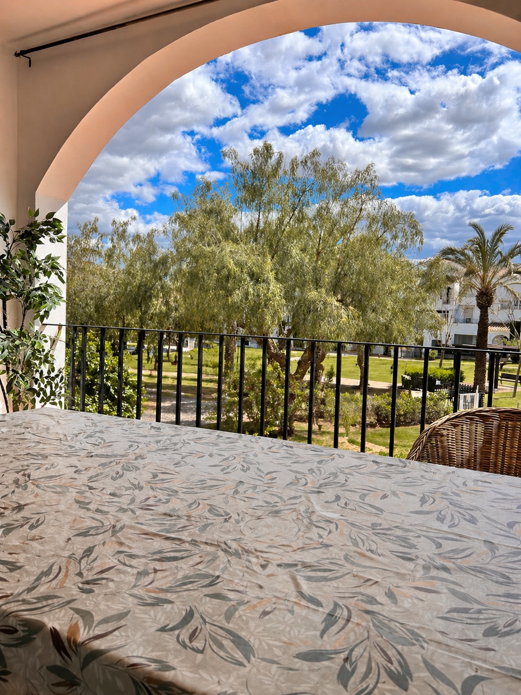 View from the terrace